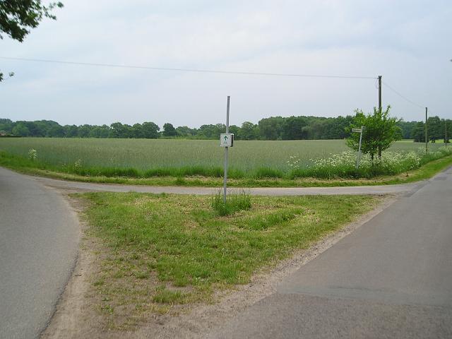 Projektfortgang Küsterhorst1.jpg